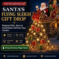 Santa-Gift