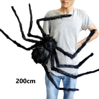 Approx 200cm