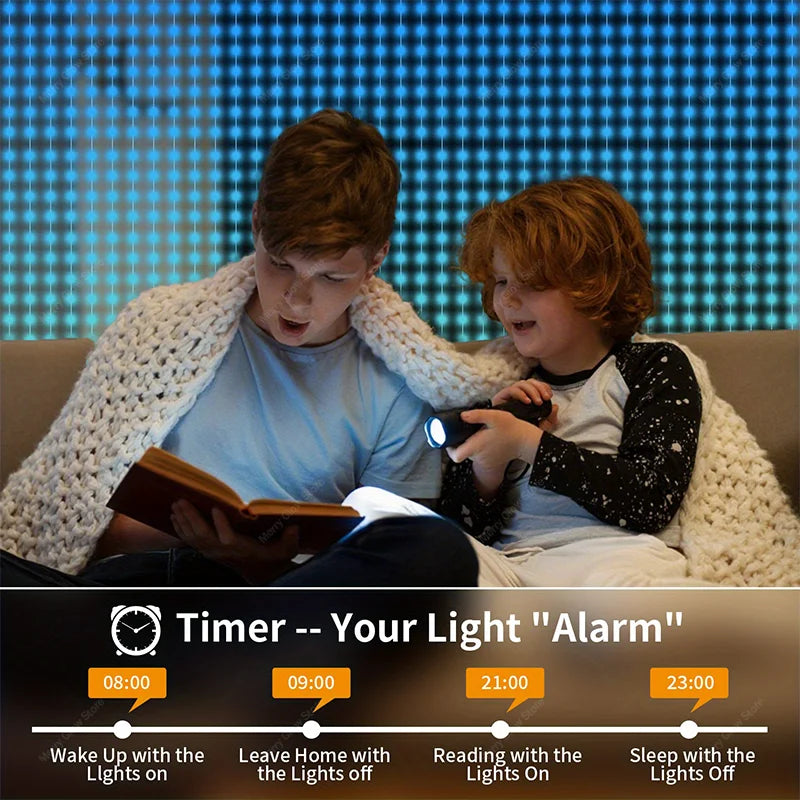 256/400 LED smart Christmas curtain lights with app