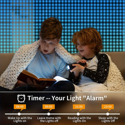 256/400 LED smart Christmas curtain lights with app
